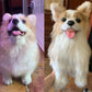 Custom Pet Plush - Chongker
