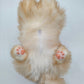 NO.17 Orange Cat - Chongker