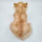 NO.17 Orange Cat - Chongker