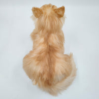 NO.17 Orange Cat - Chongker
