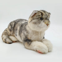 NO.13 Tappy Cat - Chongker