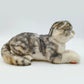 NO.13 Tappy Cat - Chongker