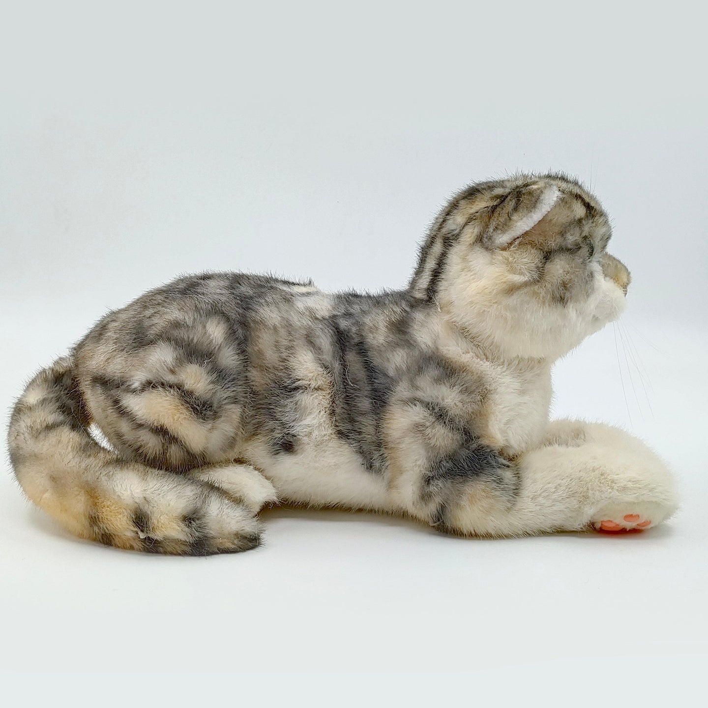 NO.13 Tappy Cat - Chongker
