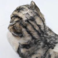 NO.13 Tappy Cat - Chongker