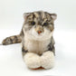 NO.13 Tappy Cat - Chongker
