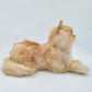 NO.17 Orange Cat - Chongker