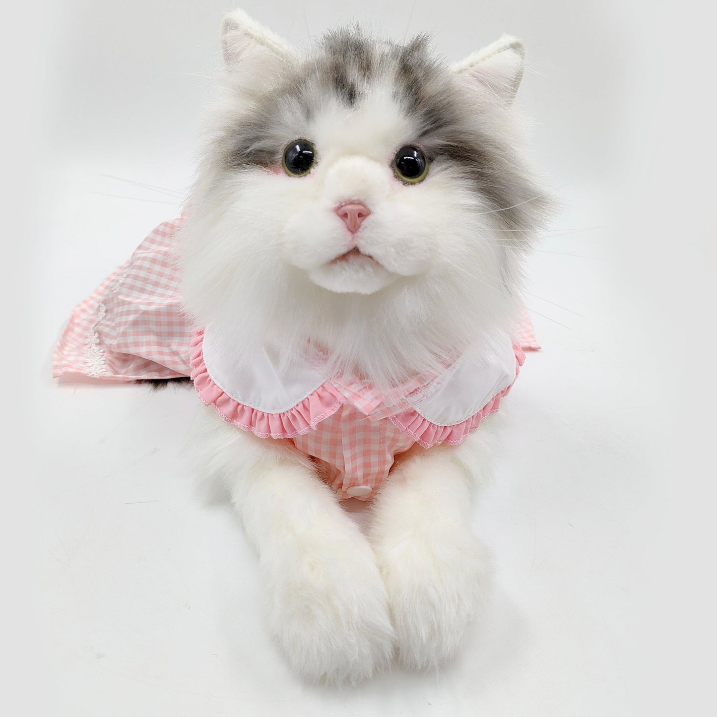 No.15 Weighted 4.5LB Tabby Cat with Dress