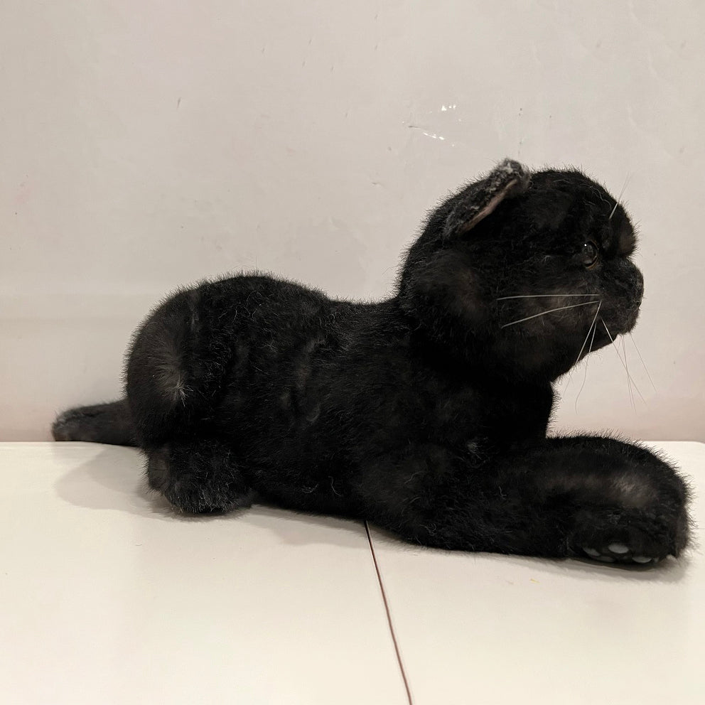 NO.21 Black shorthair cat with belly pocket - Chongker