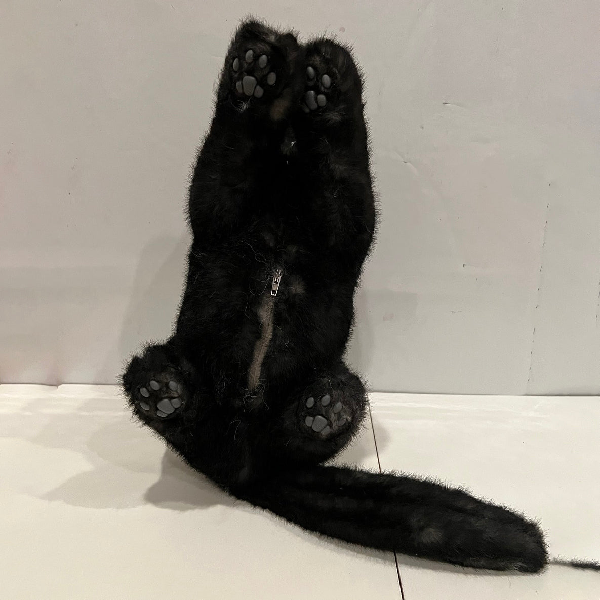 NO.21 Black shorthair cat with belly pocket - Chongker