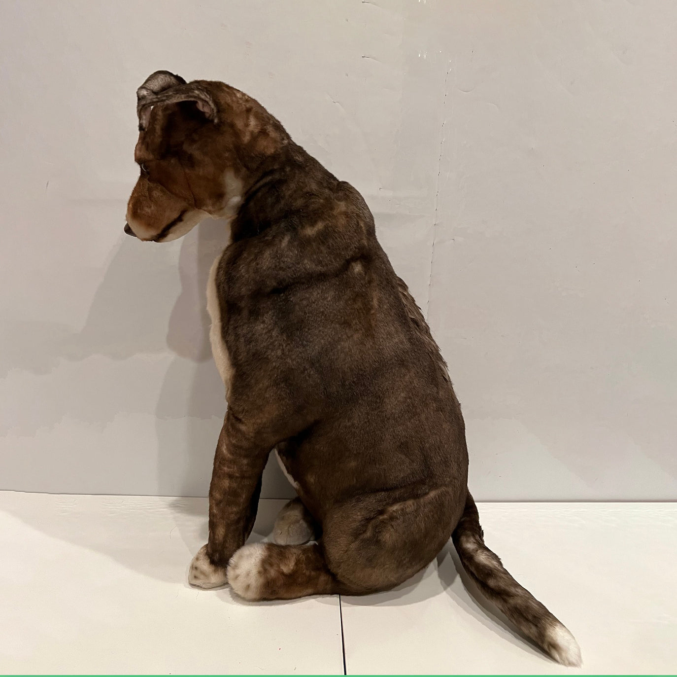 NO.22 Grey-brown Sitting Dog  21.65inches