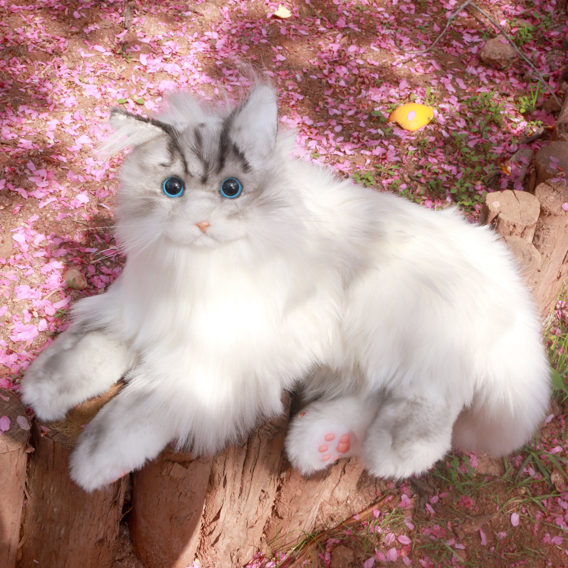 Tracy Chongker Handmade 3LB Weighted Plush Cat for hug - Chongker