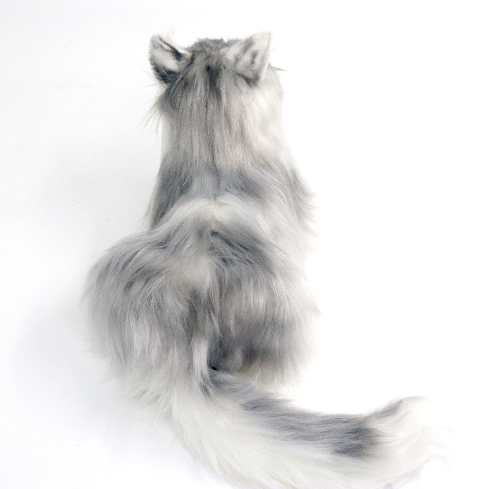 No.1 Grey Hair Cat with Blue Eyes - Chongker