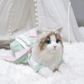 Just a Cat's Accessories, Not Cat‘s Price. - Chongker