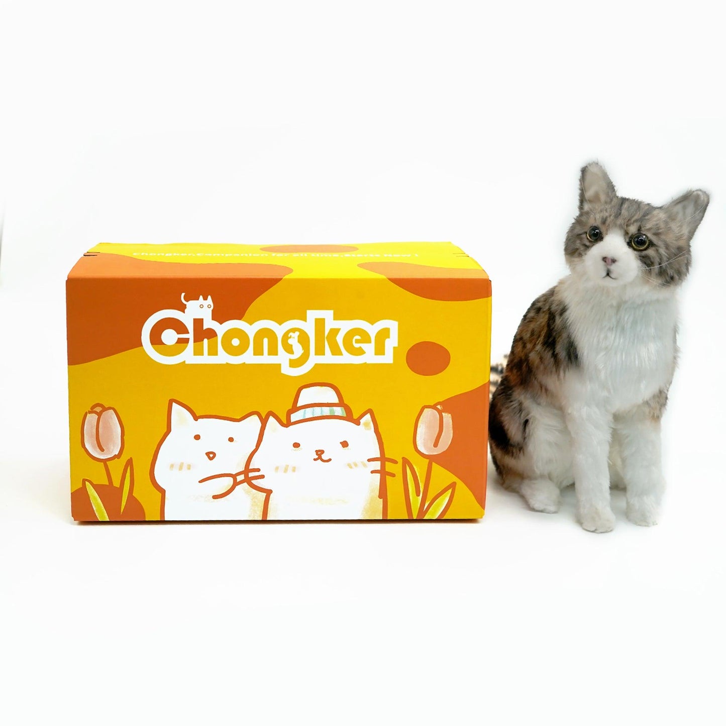 No. 6 Standing Small Kitten - Chongker