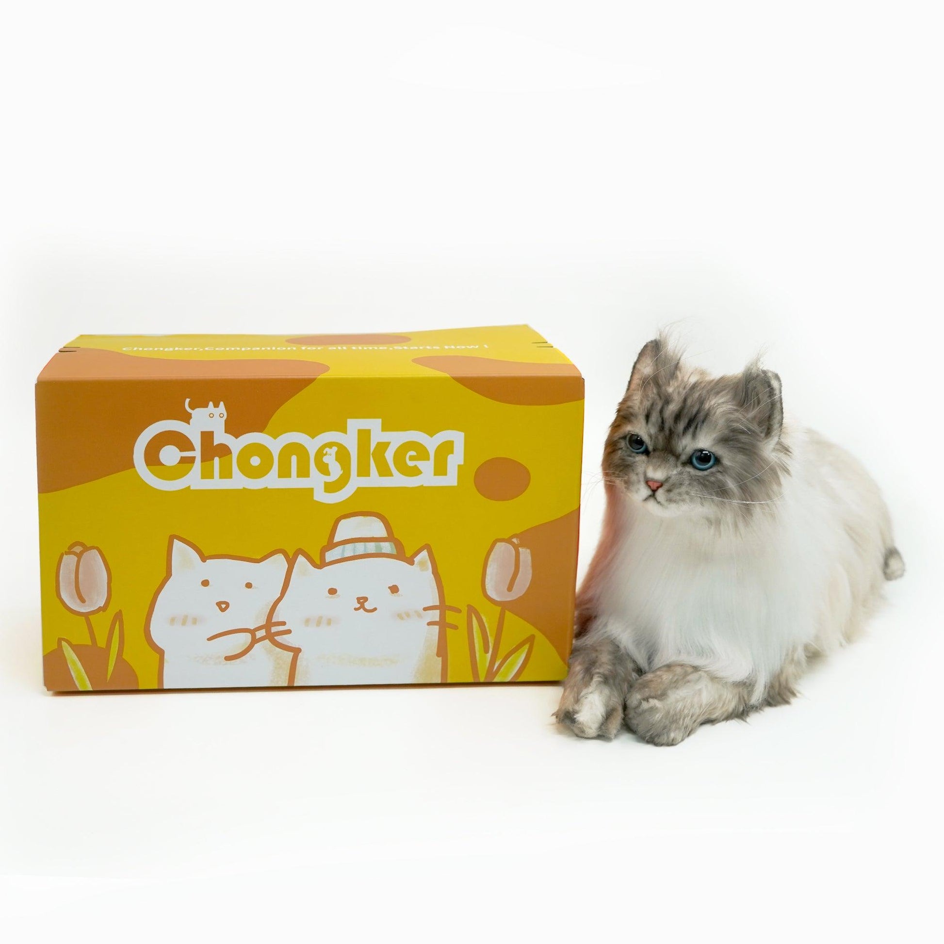 NO.8 Grey Hair Cat with Blue Eyes - Chongker