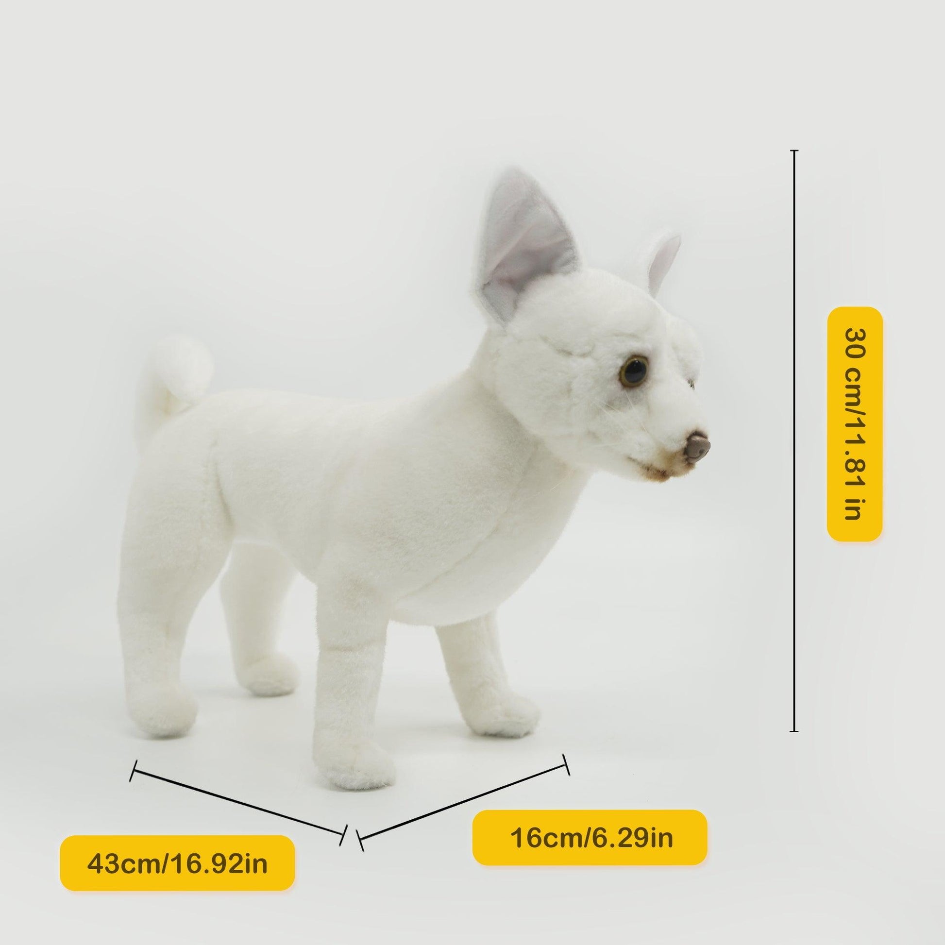 NO 5. White Standing Dog and Yellow Eyes - Chongker