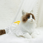 Just a Cat's Accessories, Not Cat‘s Price. - Chongker
