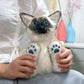 シャム猫