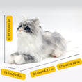 Load image into Gallery viewer, No.1 Grey Hair Cat with Blue Eyes - Chongker
