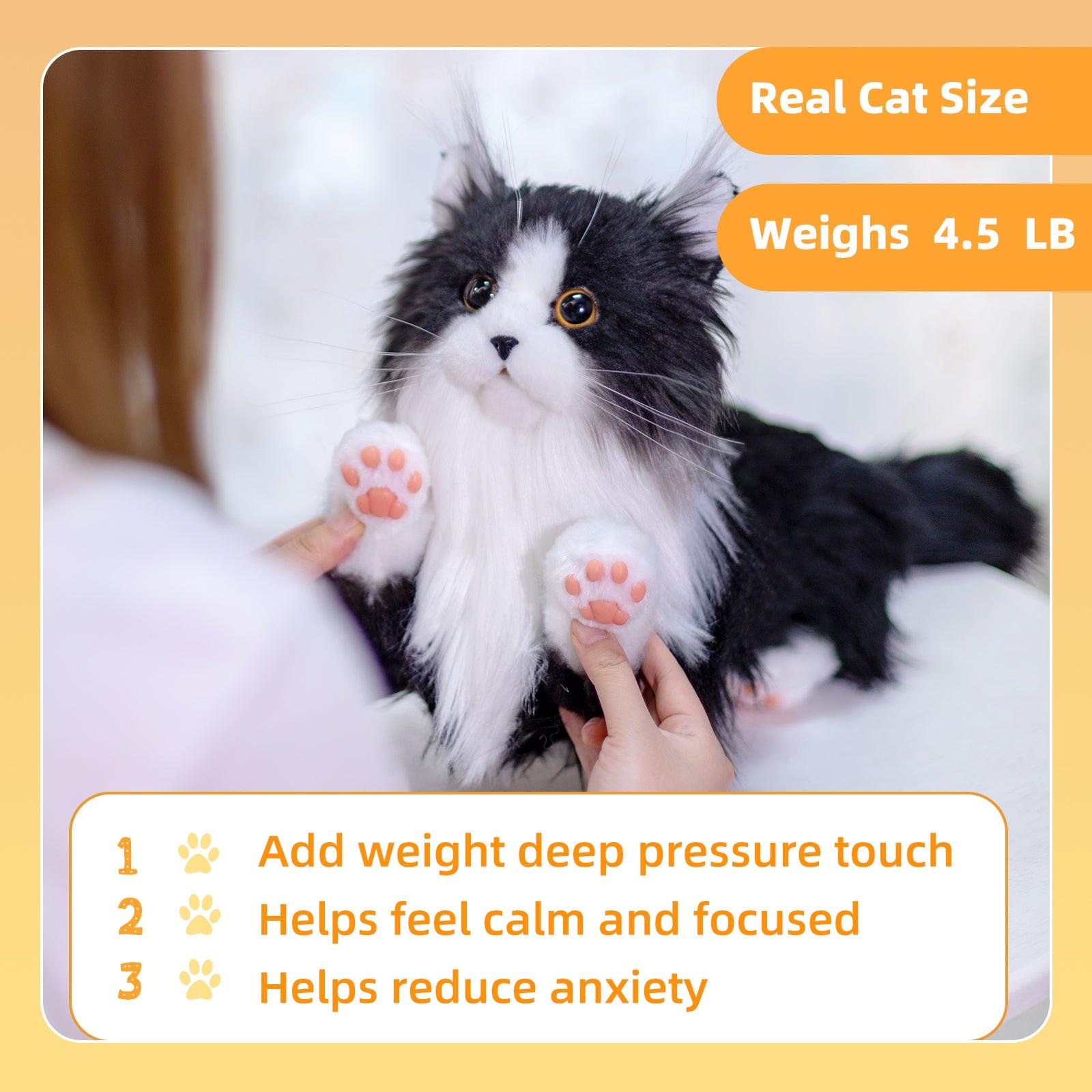 Weighted Black Cat（4.5LB） - Chongker