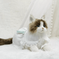 Just a Cat's Accessories, Not Cat‘s Price. - Chongker