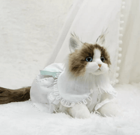 Just a Cat's Accessories, Not Cat‘s Price. - Chongker