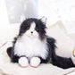 Weighted Black Cat（4.5LB） - Chongker
