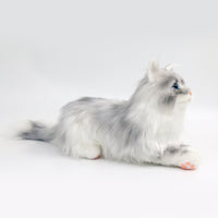 No.1 Grey Hair Cat with Blue Eyes - Chongker