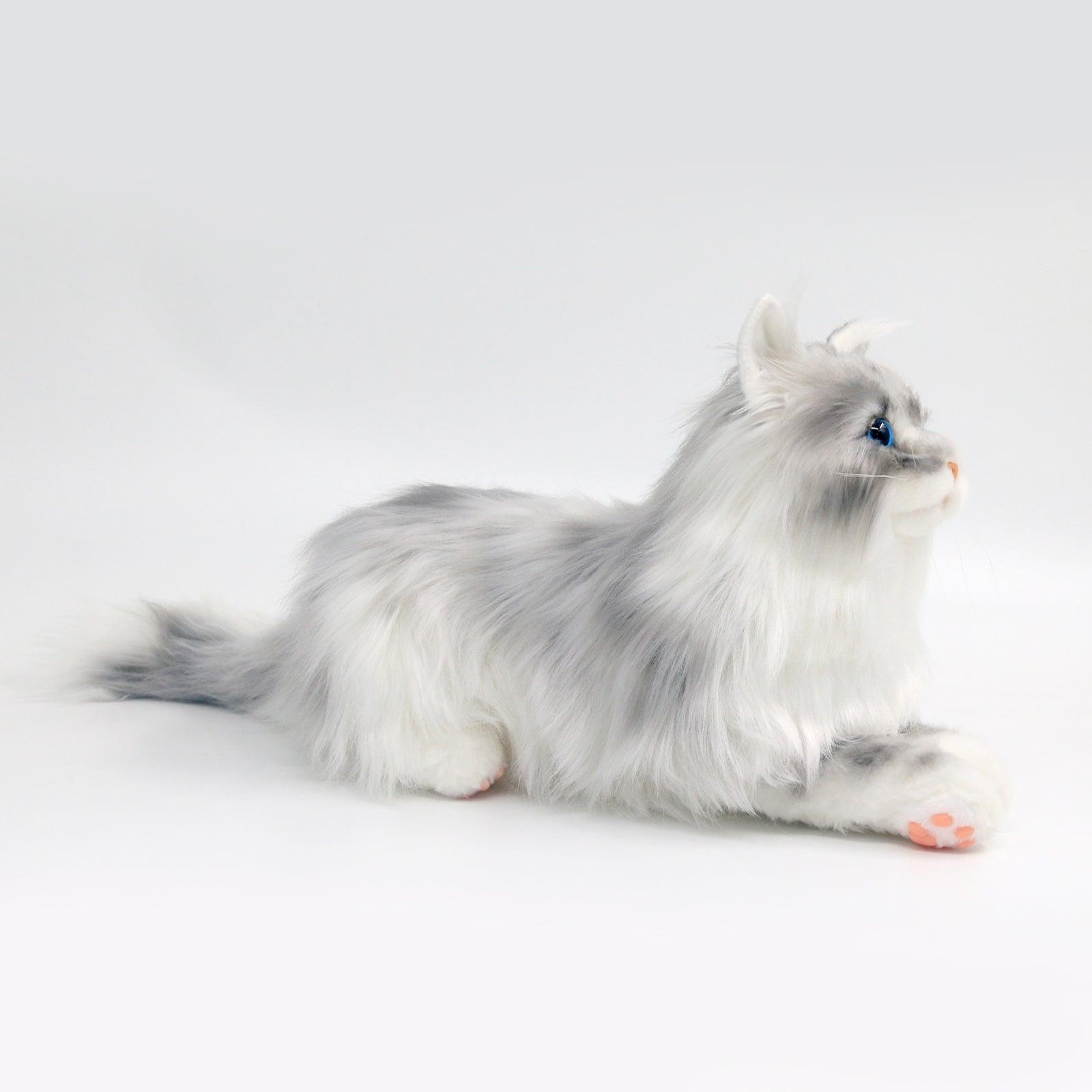No.1 Grey Hair Cat with Blue Eyes - Chongker