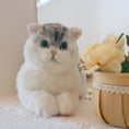 Load image into Gallery viewer, British Short-Hair Cat - Chongker
