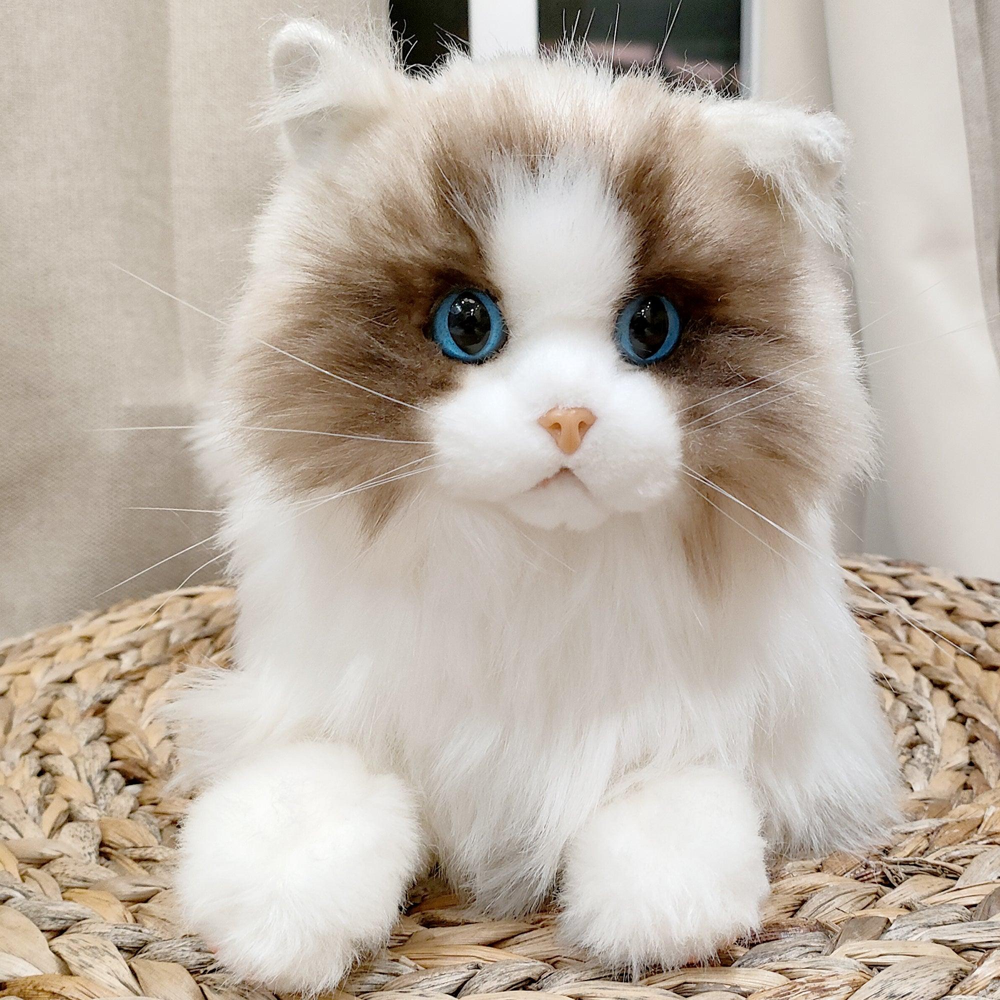 Weigted Ragdoll Cat（4.5LB） - Chongker