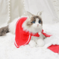 Just a Cat's Accessories, Not Cat‘s Price. - Chongker