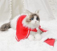 Just a Cat's Accessories, Not Cat‘s Price. - Chongker