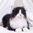 Load image into Gallery viewer, Weighted Black Cat（4.5LB） - Chongker
