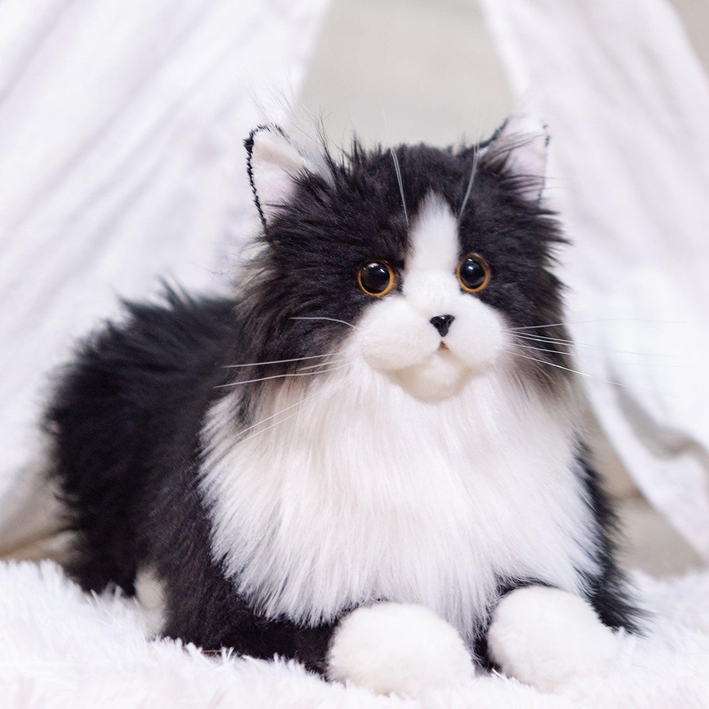 Weighted Black Cat（4.5LB） - Chongker