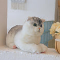 Load image into Gallery viewer, British Short-Hair Cat - Chongker
