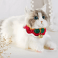 Just a Cat's Accessories, Not Cat‘s Price. - Chongker