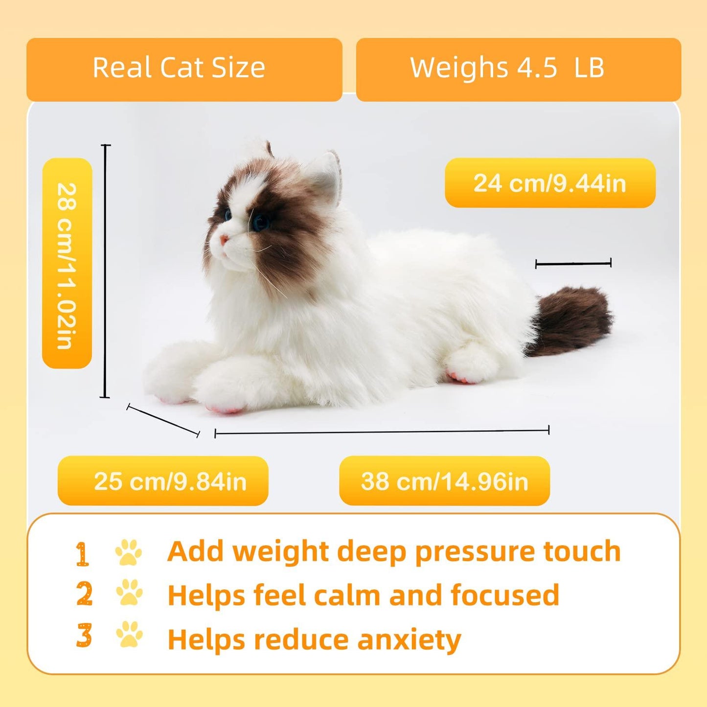 Weigted Ragdoll Cat（4.5LB）
