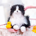 Load image into Gallery viewer, Weighted Black Cat（4.5LB） - Chongker
