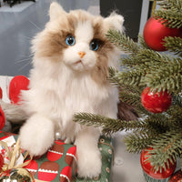 Weigted Ragdoll Cat（4.5LB） - Chongker