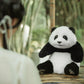 Lifelike Stuffed Animals Panda,Plush Panda Doll.Panda Fans Can't Miss It! - Chongker