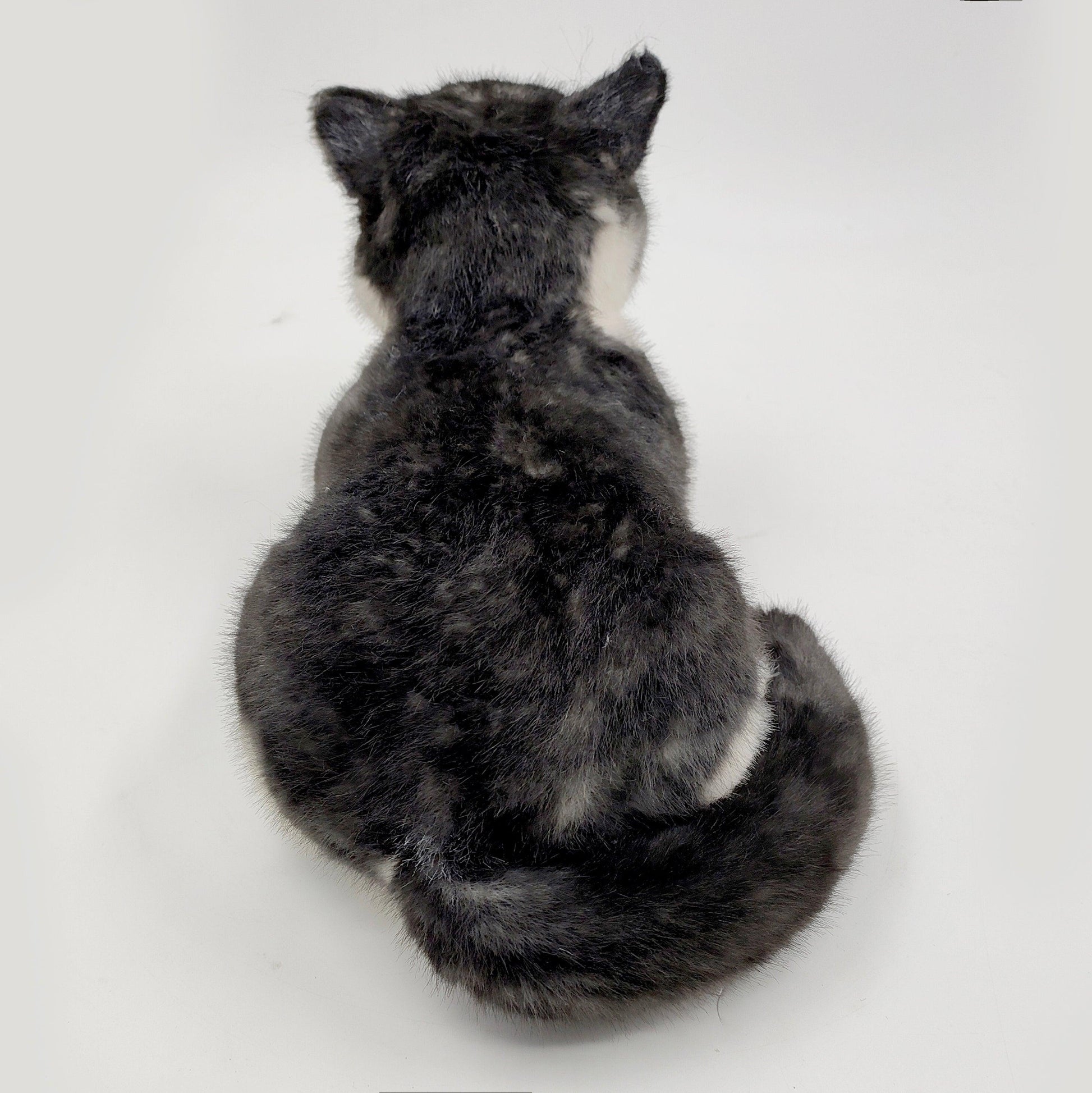 NO.19 Black Cat 4.5LB/2KG Weighted - Chongker