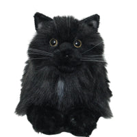 NO.30 Black Cat - Chongker