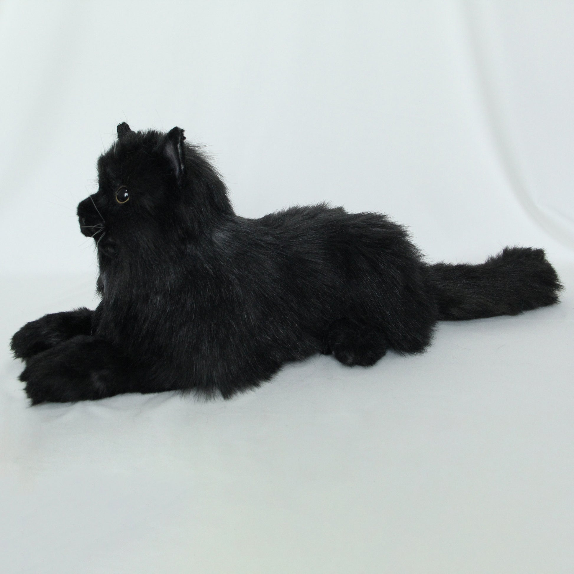 NO.30 Black Cat - Chongker
