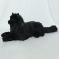 Załaduj obraz do przeglądarki galerii, NO.30 Black Cat - Chongker

