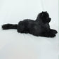 NO.30 Black Cat - Chongker