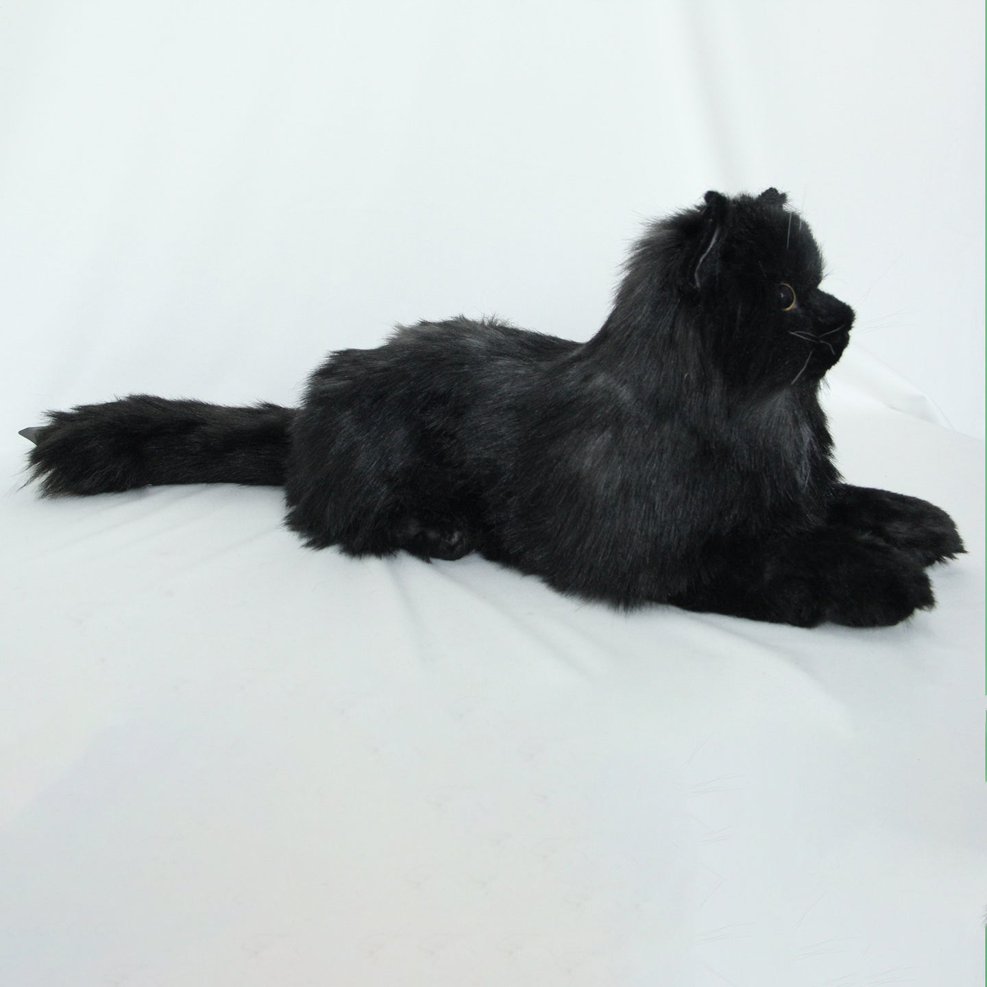 NO.30 Black Cat - Chongker