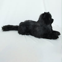 NO.30 Black Cat - Chongker