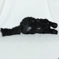 Załaduj obraz do przeglądarki galerii, NO.30 Black Cat - Chongker
