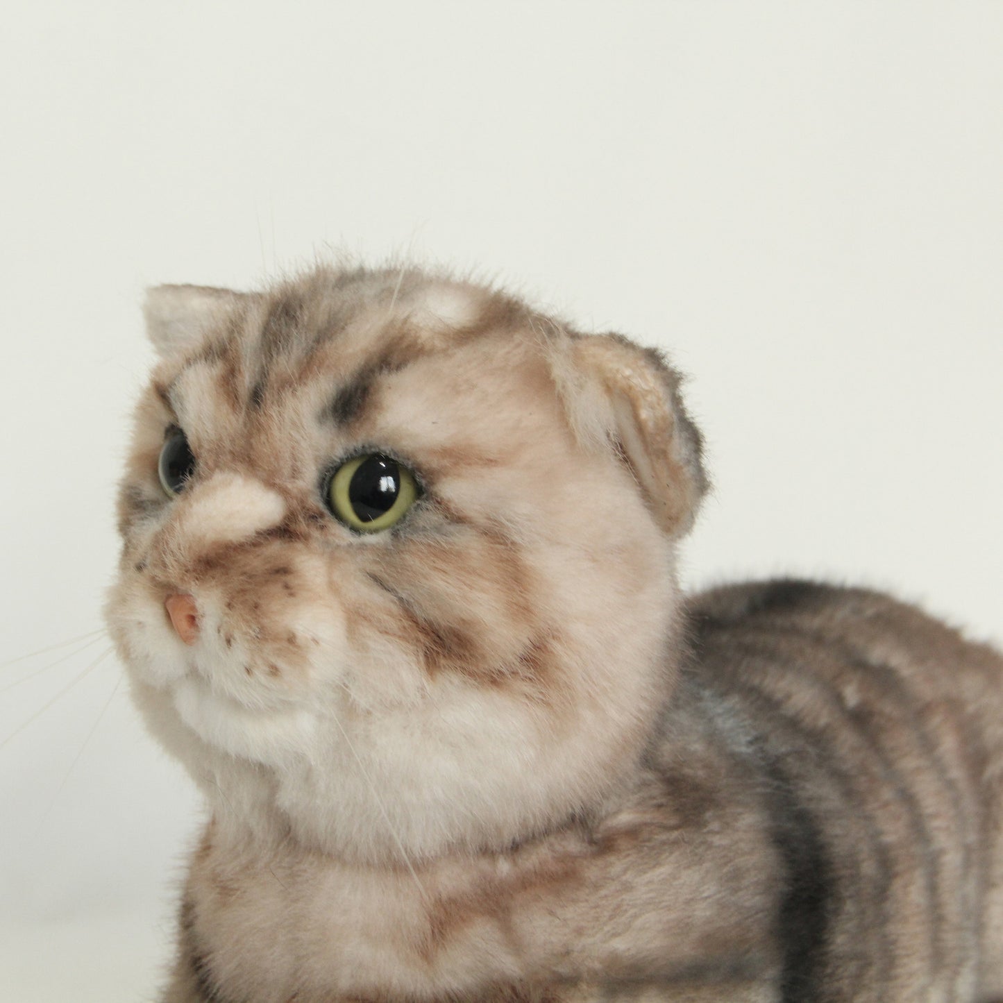 NO.27 Orange and brown striped cat - Chongker